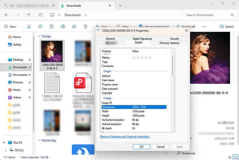 Deatils of Speak Now Artwork