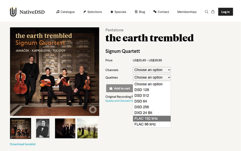 NativeDSD Music store offering Hi-Res FLAC downloads