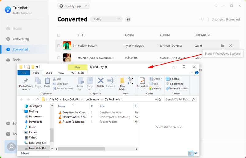 spotify pet playlist mp3 downloads