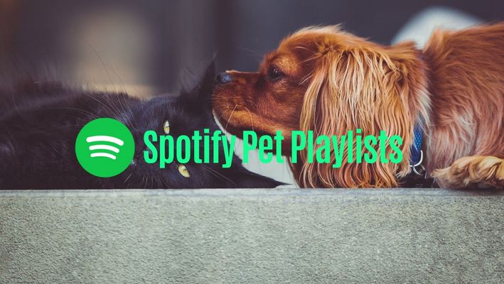 spotify pet playlists